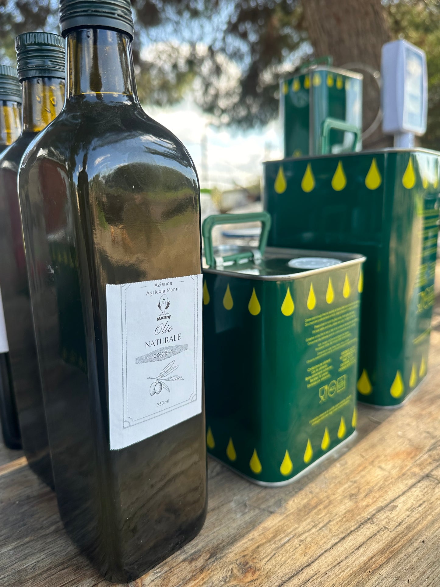 Bottiglia Olio 1 Litro